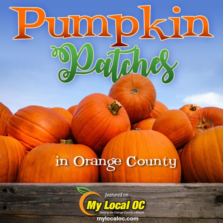 PUMPKIN PATCHES IN ORANGE COUNTY My Local OC