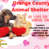 Orange County Animal Shelters