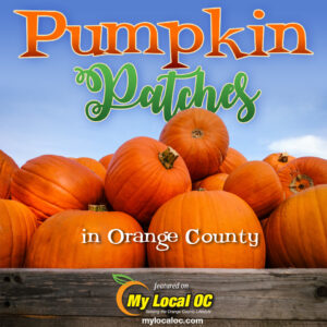 Pumpking patches in Orange County on My Local OC.